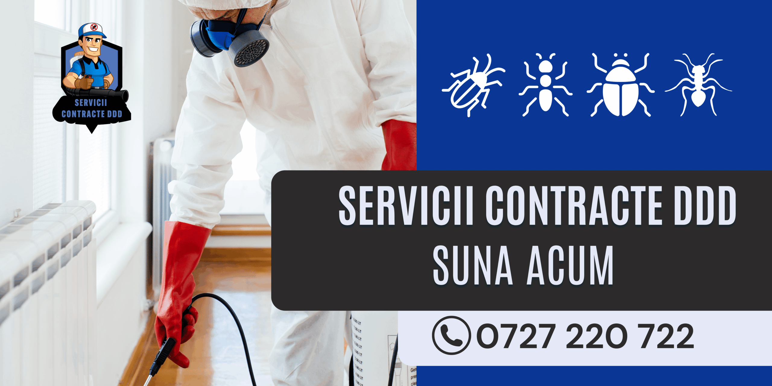 Gândacul de Canalizare (Periplaneta americana): Portretul Detaliat al Unui Invadator Tăcut și Periculos
