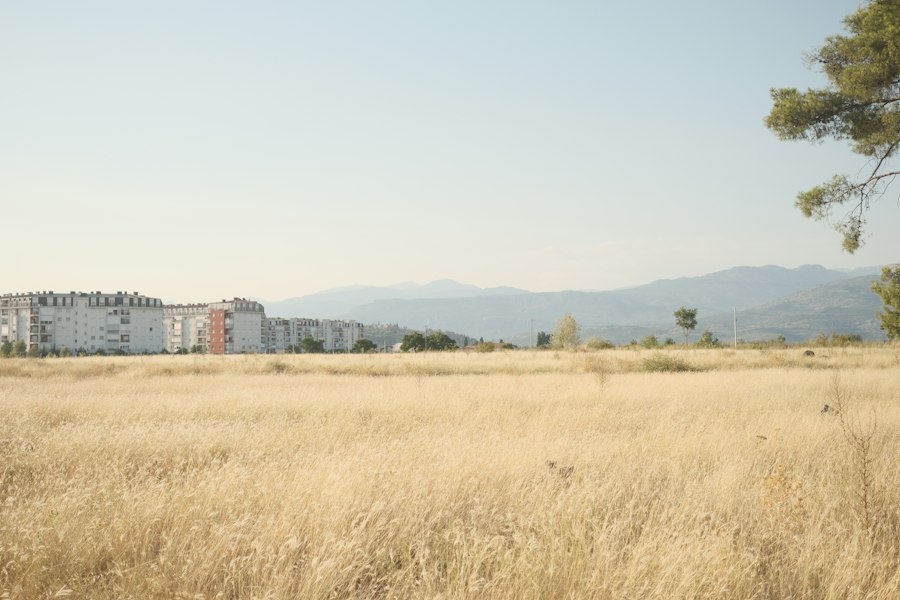 urban vs rural living analysis