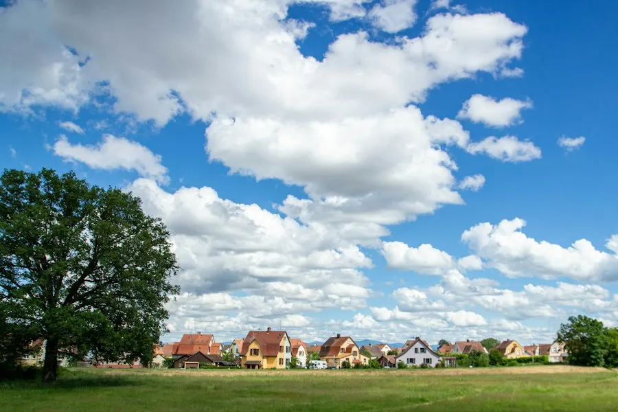 city vs countryside lifestyle mistakes